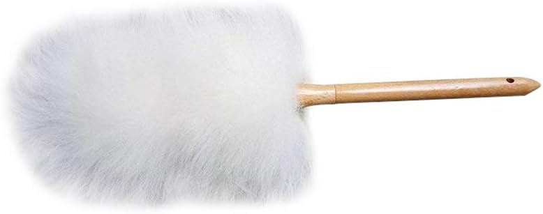 spolverino per ufficio