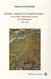 Entre Vosges et Forêt-Noire: Pouvoir, terroir et villes de l'Oberrhein. 1250-1350 (Histoire ancienne et médiévale t. 64) (French Edition) by 