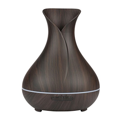 best oil diffuser