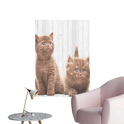 Wall Decoration Wall Stickers Kittens Baby Cats Sweet Fel e Nursery Child Kitty Theme Work Caramel Print Artwork,20"W x 36"L