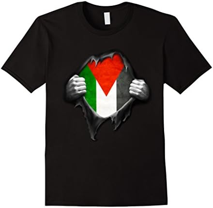 Men's Palestine Flag T Shirt. Free Palestine XL Black