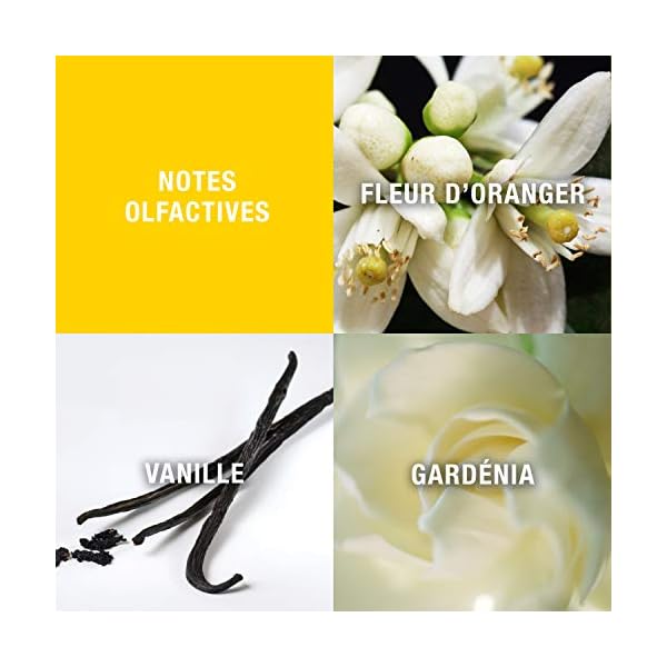 Giorgio Beverly Hills Eau de Toilette (50ml) Floral, Oriental & Fresh Scent, Luxury Fragrance, Perfume for Women