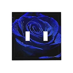 Blue Rose Flower 2 Gang Double Toggle Light Switch