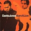 Born a Lion