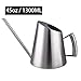 IMEEA Indoor Watering Can Stainless Steel Watering Can for Indoor Plants with Long Spout, 50oz/1.5L