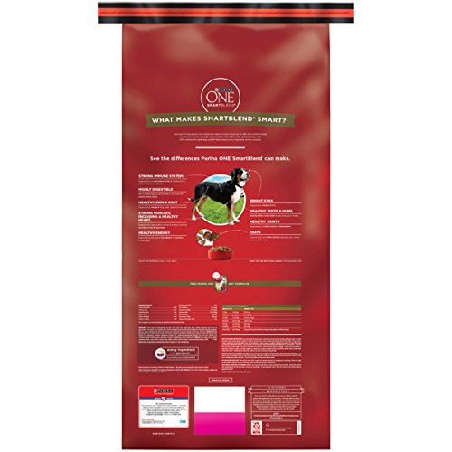 Purina ONE SmartBlend Lamb & Rice Dog Food - Image 2