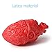 ONEDONE Fake Bloody Heart Body Organ Parts Halloween Horror Props Haunted House Party Decor for Adults