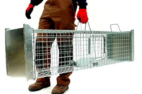 Holtaz Super Starke Falle Marderfalle Katzenfalle Fuchsfalle Biberfalle Tierfalle Kastenfalle Drahtfalle 2 türen, Größe… – Bild 5