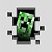 Minecraft Little Boy's Creeper Inside T-Shirt (Silver, Juvy Medium (5/6))