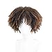 CNicehair Afro Synthetic Wigs Kinky Curly Short Hair For Black African American Women Costume Cosplay Party Wigs Dark Brown