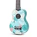 SanDona AK60F Soprano Basswood Ukulele,Children Musical Instruments, 21 Inch with Gig Bag for kids Students and Beginners, Blue and Flower