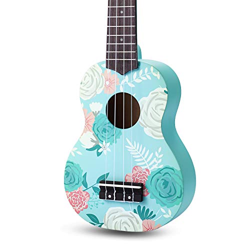 SanDona AK60F Soprano Basswood Ukulele,Children Musical Instruments, 21 Inch with Gig Bag for kids Students and Beginners, Blue and Flower