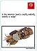 Dancing Mayfly - The Fly Fishing Trivia Game