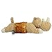 Hyper Pet Cozy Belly Rhino with Squeaker
