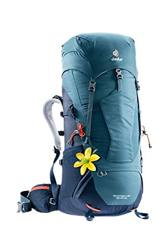 deuter 45