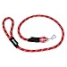 ZippyPaws Climbers Mountain Climbing Rope Dog Leash (Red, 6-Feet)