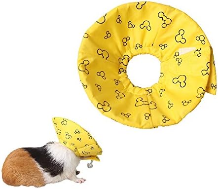 ferret e collar
