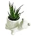GeLive Tortoise Succulent Planter Turtle Plant Pot Animal Fun Vase Window Box Cute Home Decoration, 5 Inch, Indoor Outdoor
