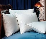 Pacific Coast Touch of Down Standard Pillow Set