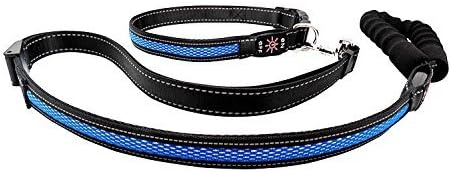 Light Up Pet Collar Set, Adjustable Size 21" Max. Length Thick and Durable Nylon with Neoprene Padded Handle, USB Rechargeable Light Up Pet Safety Collar and Leash