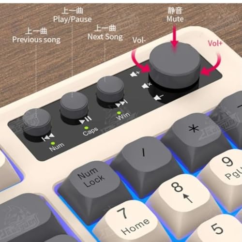 Teclado e Mouse Gamer, Alta Precisão RGB LED Rainbow USB para PC, PS4, PS5 e Xbox Versão Atualizada 2.0, Sem Atraso ao Teclar, Sem delay.