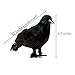 Prextex Crows Halloween Decoration - Black Bird Fall Decor, Witch Decor, Artificial Birds Gothic Home Decor, Fake Crow Halloween Kitchen Decor, Vintage Halloween Decorations Outdoor and Indoor (2pcs)