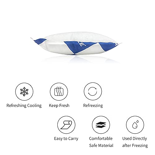 Dry Ice Packs Sheets for Coolers 120 Cells Reusable Ice Cold Packs for