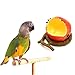 AZXAZ Bird Feeder Bowl Hanging Cage Food Bowl Fruit Shape Birds Parrots Feeding Dish Container for Parakeet Cockatiel Lovebird Water Bowl (Pomegranate)thumb 2