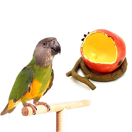 AZXAZ Bird Feeder Bowl Hanging Cage Food Bowl Fruit Shape Birds Parrots Feeding Dish Container for Parakeet Cockatiel Lovebird Water Bowl (Pomegranate)