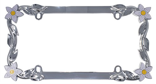 1 Cruiser+Accessories+19130+License+Painted