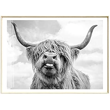 Artliving Cute Highland Cow Sticking Tongue Out Art Print Poster for Home Decor Wall Decor Unframed (60x90 cm)