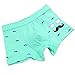 Boys Kids Soft Cotton Fashion Boxer Briefs Toddler Breathable Underwear (5-6 Years)