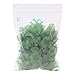 PH PandaHall 100 Pcs Frosted Style Acrylic Maple Leaf Charm Pendants for Earring Bracelet Necklace Jewelry DIY Craft Making 24x22.5x3mm Green