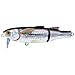 LiveTarget Lures Mullet Wakebait