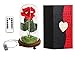 LANGXUN Red Silk Rose with LED Light and Glass Dome for Home Decor Wedding Decorations for Women