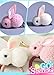 Beyond280 Cute Elastic Hair Ties and Hair Clips for Toddlers Teen Girls and Young Women Adorable Rabbit Bunny Hair Accessories for School and Work White Pink Grey Red Pack of 8