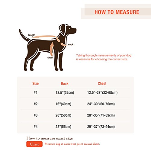 Namsan Dog Warm Coat,Dog Jacket,Winter Dog Clothes,Cold Weather Dog Jacket for Small Dogs