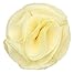 Men's Solid Lapel Rose Pin