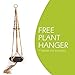 Terracotta Plant Watering Spikes 4 Pack Set, Self-Irrigation Watering Stakes for Flowers, Plants, Trees, Bushes, Shrubs and More - Plant Waterer - Garden Watering Spike, Includes Bonus Plant Hanger