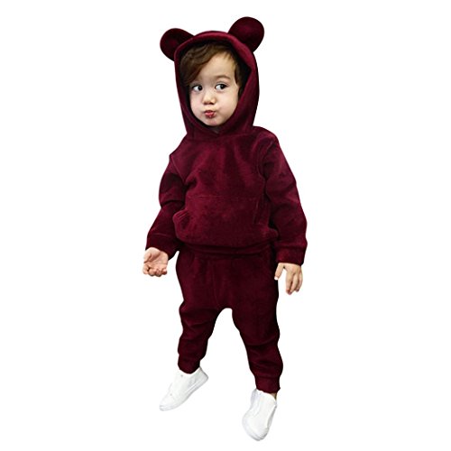 Minisoya Toddler Baby Boy Girls Warm Velvet Hoodie Casual Hooded Sweatshirt Tops Long Pants Tracksuit Outfits Set (Wine, 24M)