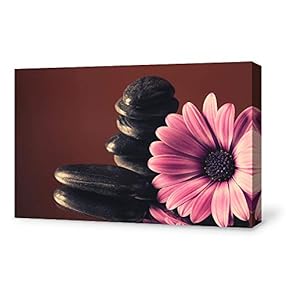 for Living Room Bedroom Home Artwork Paintings Orchid SPA Backgrounds