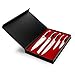 Bluesim 5-Piece Stainless Steel Knife Set - Chef, Carving, Bread, Utility & Paring Knives with Gift Box