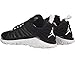 Nike Jordan Flight Flex Trainer Men's Basketball Shoes