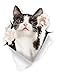 Winston & Bear 3D Cat Stickers - 2 Pack - Reaching Black & White Tuxedo Cat Decals for Wall - Fridge - Toilet - Room - Car - Retail Packaged