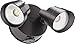 Lithonia Lighting OVFL 2RH 40K 120 PE BZ M4 Floodlight