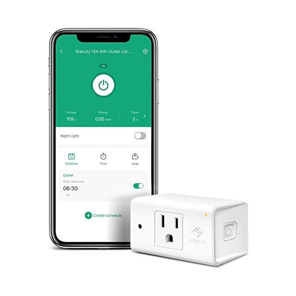 etekcity plug alexa