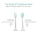 DECULO Sonic Electric Toothbrush With IPX7 Waterproof,Rechargeable,35000 Brush Strokes And 5 Brushing Modes (Silvery/white)