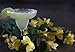 Margarita Mix - Mile Marker 0 - Commercial Grade Drink Mixer 64 Oz