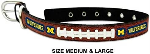 college football dog collars