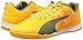 PUMA Men's Evospeed Sala Soccer Shoe
